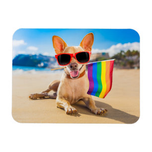 Chihuahua Dog at the Beach Magnet