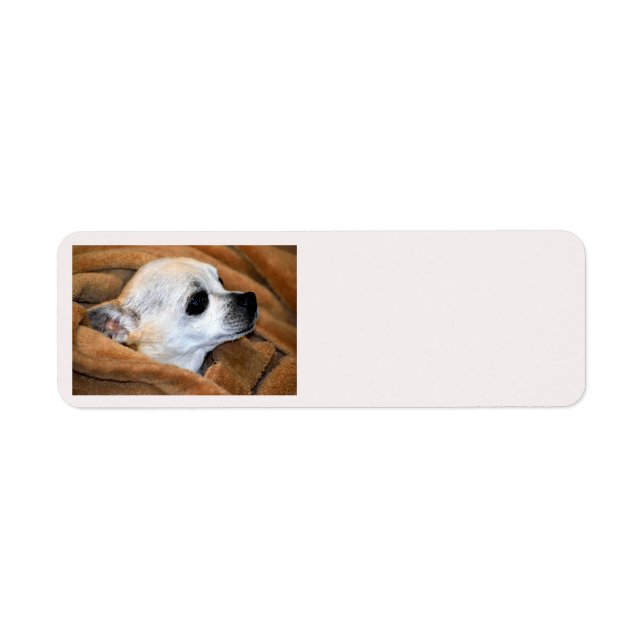 Chihuahua dog background label (Front)