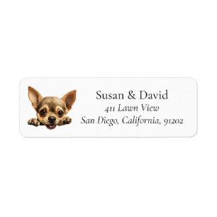 Chihuahua Dog Breed Pet Lovers