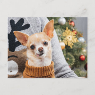 Chihuahua Dog Christmas w/Christmas Tree Post Card
