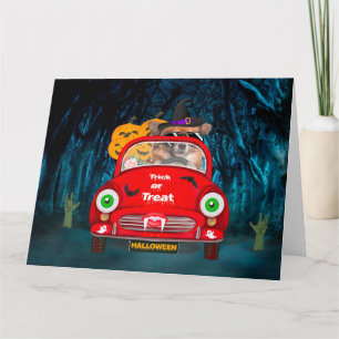 Chihuahua Dog Driving Car Scary Halloween  Card
