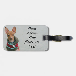 Chihuahua dog luggage tag