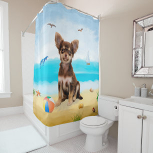 Chihuahua Dog on Beach