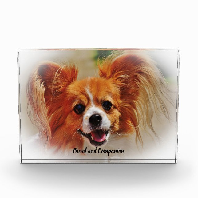 Chihuahua Dog. Photo Block (Front)