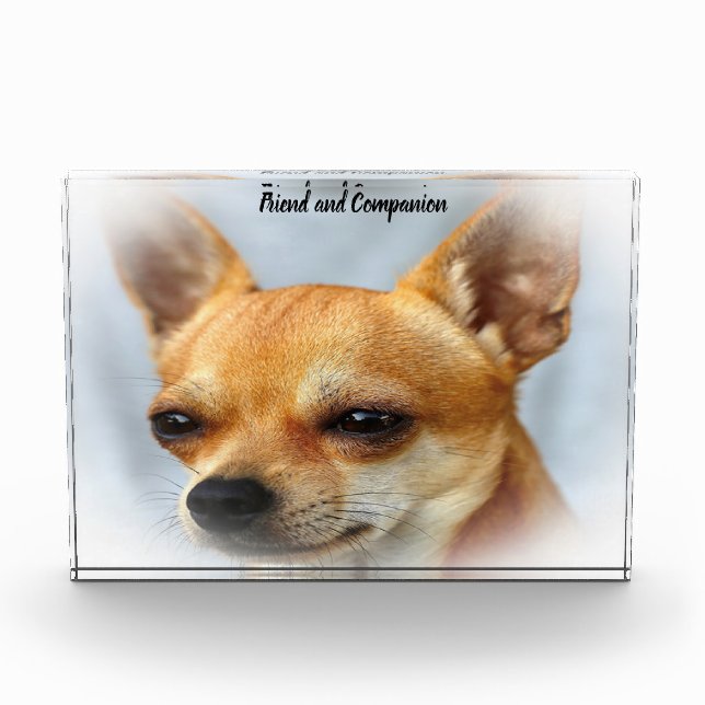 Chihuahua Dog. Photo Block (Front)