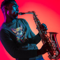 Chihuahua Dog playing Saxophone 