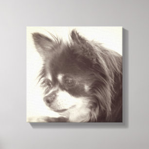 Chihuahua Dog Portrait Canvas Print