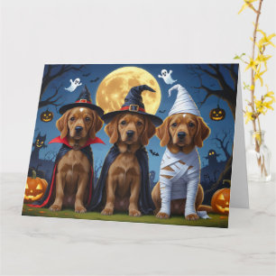 Chihuahua Dog Pumpkin Halloween Funny Card