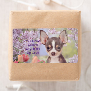Chihuahua dog shipping labels