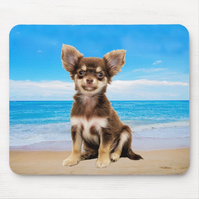 Chihuahua Dog Sitting on Tropical Beach Mouse Pad (Front)