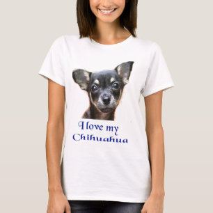 Chihuahua Dog t-shirts