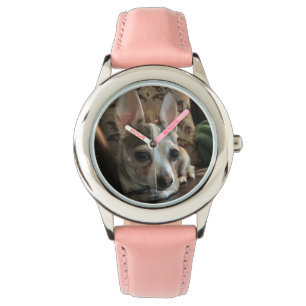 Chihuahua Dog Watch