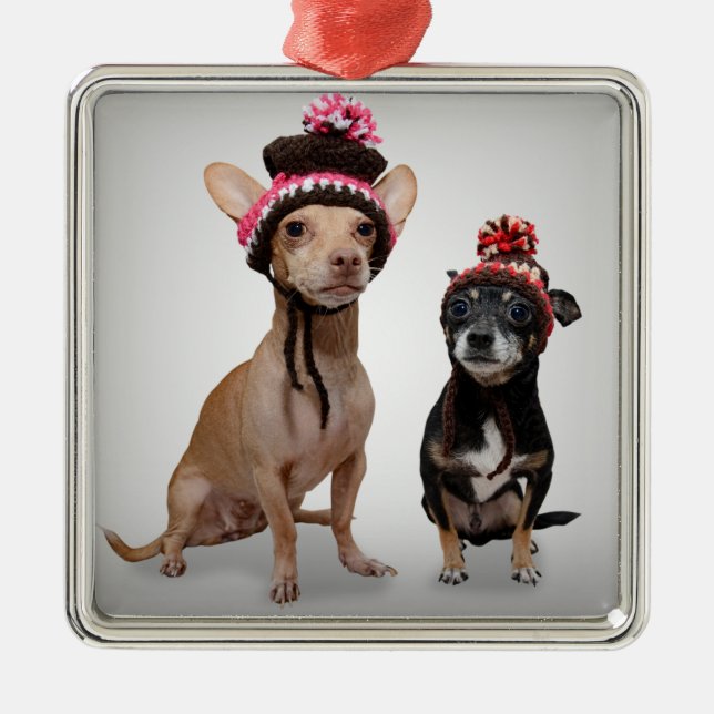 Chihuahua Dogs With Hats Photo Metal Ornament (Front)