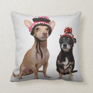 Chihuahua Dogs With Hats Photo Throw Pillow