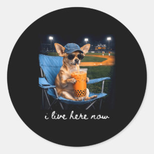Chihuahua drink iced coffee baseball field live classic round sticker