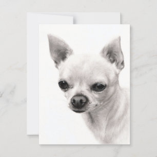Chihuahua Face Study Hand Painted Artwork Postcard
