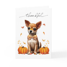 Chihuahua Fall Thankful Thanksgiving Greeting Card