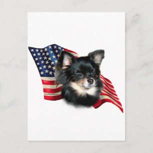Chihuahua Flag Postcard