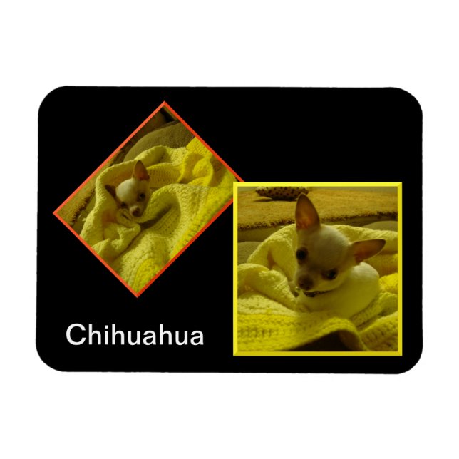 Chihuahua Flexible Photo Magnet (Horizontal)