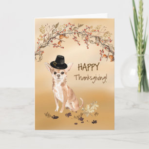 Chihuahua Funny Pilgrim Hat Thanksgiving Card