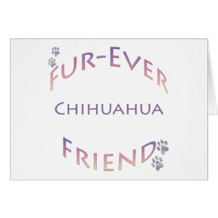 Chihuahua Furever