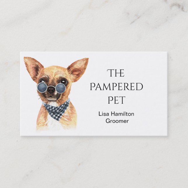 Chihuahua Groomer pour animaux/Vet/Siters Carte de (Devant)