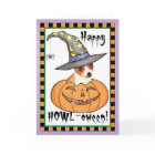 Chihuahua Halloween