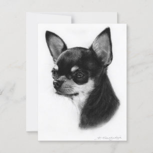 Chihuahua Hand Painted Artwork Postcard
