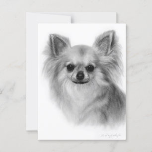 Chihuahua Hand Painted Pet Portrait Postcard