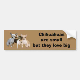 Chihuahua Happy Trio Bumper Sticker