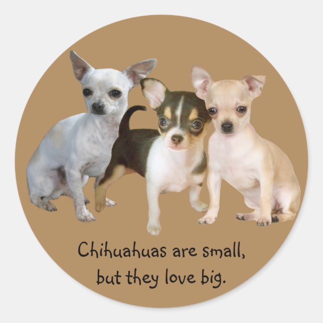 Chihuahua Happy Trio Sticker (Front)