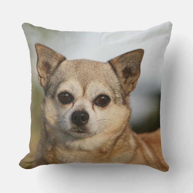 Chihuahua Headshot Throw Pillow (Front)