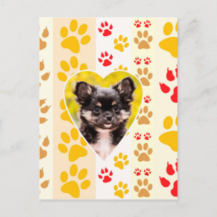 Chihuahua Heart Paw Prints Postcard