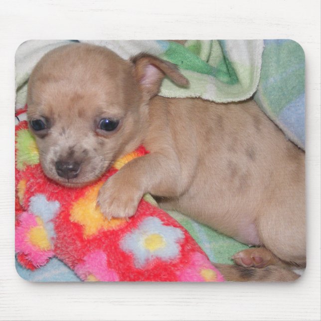 Chihuahua Hugs Mouse Pad (Front)