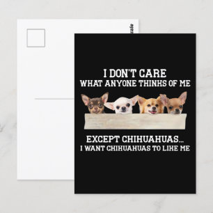 Chihuahua I Don't Care What Anyone Thinks Of Me Postcard