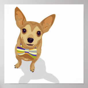 Chihuahua in a bowtie poster