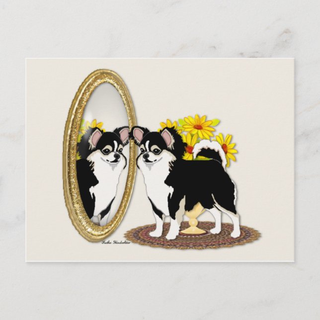Chihuahua In A Mirror Postcard (Front)