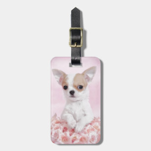 Chihuahua in pink with roses luggage tag