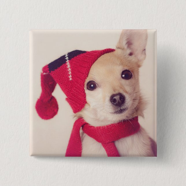 Chihuahua In Winter Cap 2 Inch Square Button (Front)