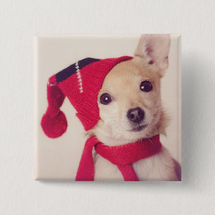 Chihuahua In Winter Cap 2 Inch Square Button
