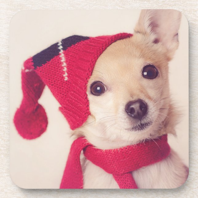 Chihuahua In Winter Cap Coaster (Front)
