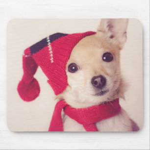 Chihuahua In Winter Cap Mouse Pad