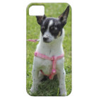 chihuahua  iphone case