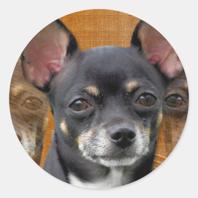 Chihuahua Isabella Cresent Moon Classic Round Sticker (Front)