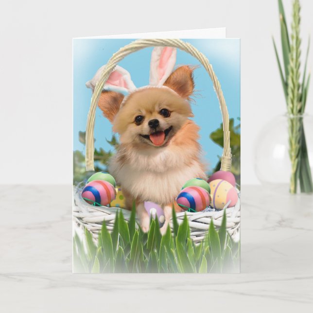 Chihuahua Joyeuses cartes de Pâques (Devant)