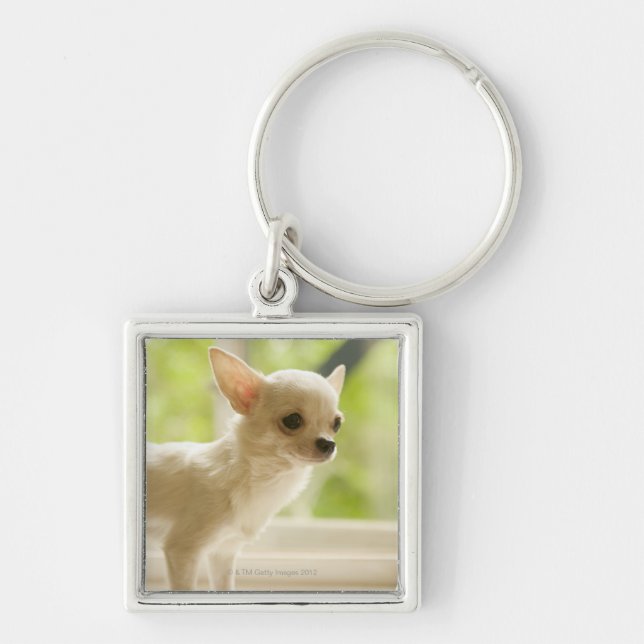 Chihuahua Keychain (Front)