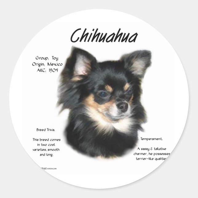 Chihuahua (long) History Design Classic Round Sticker (Front)