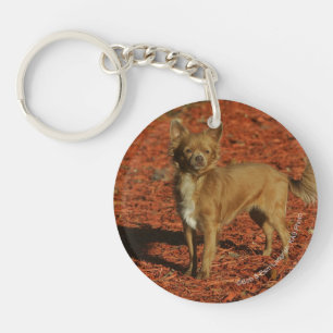 Chihuahua Looking at Camera Keychain