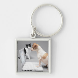Chihuahua looking into the screen of a laptop keychain