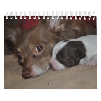 Chihuahua Love Calendar